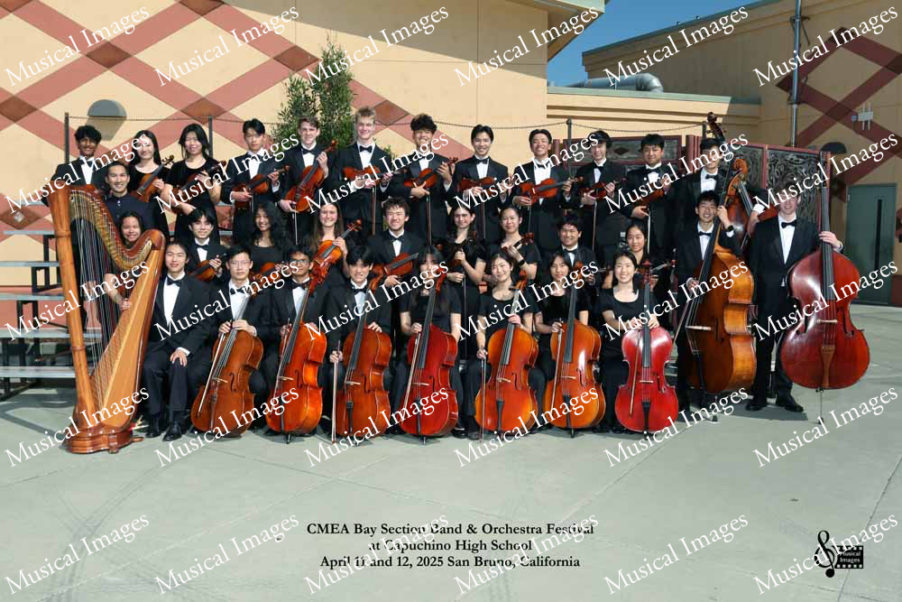 Musical Images